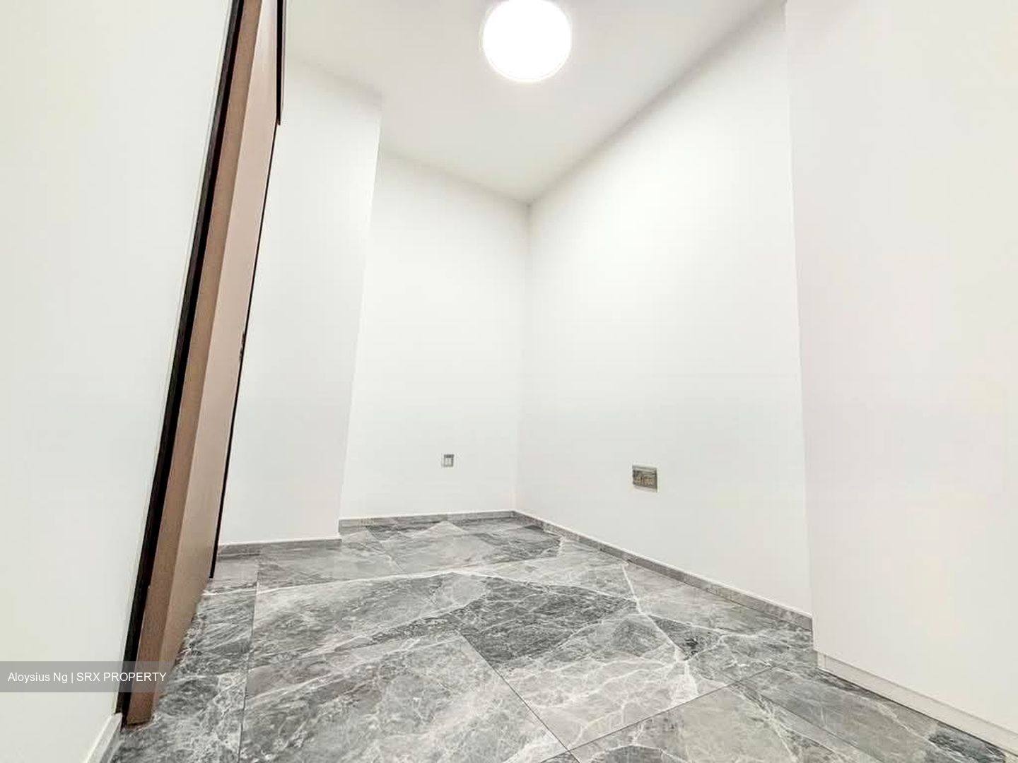 One Bernam (D2), Apartment #546928731